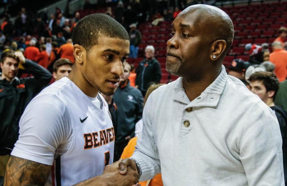 他的到来 他的到来