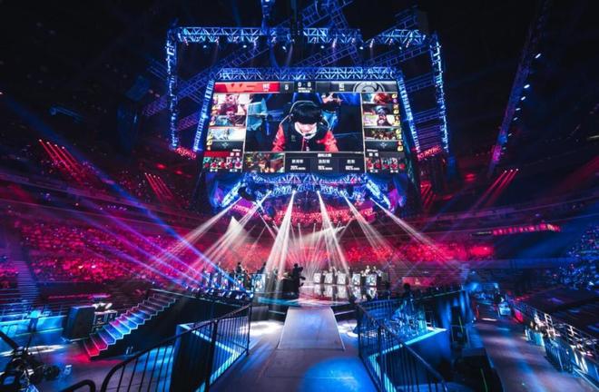 苏达森林狼 苏达森林狼