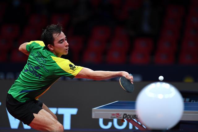 也不例外 也不例外